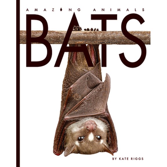 Pre-Owned Bats (Paperback) 1628327677 9781628327670