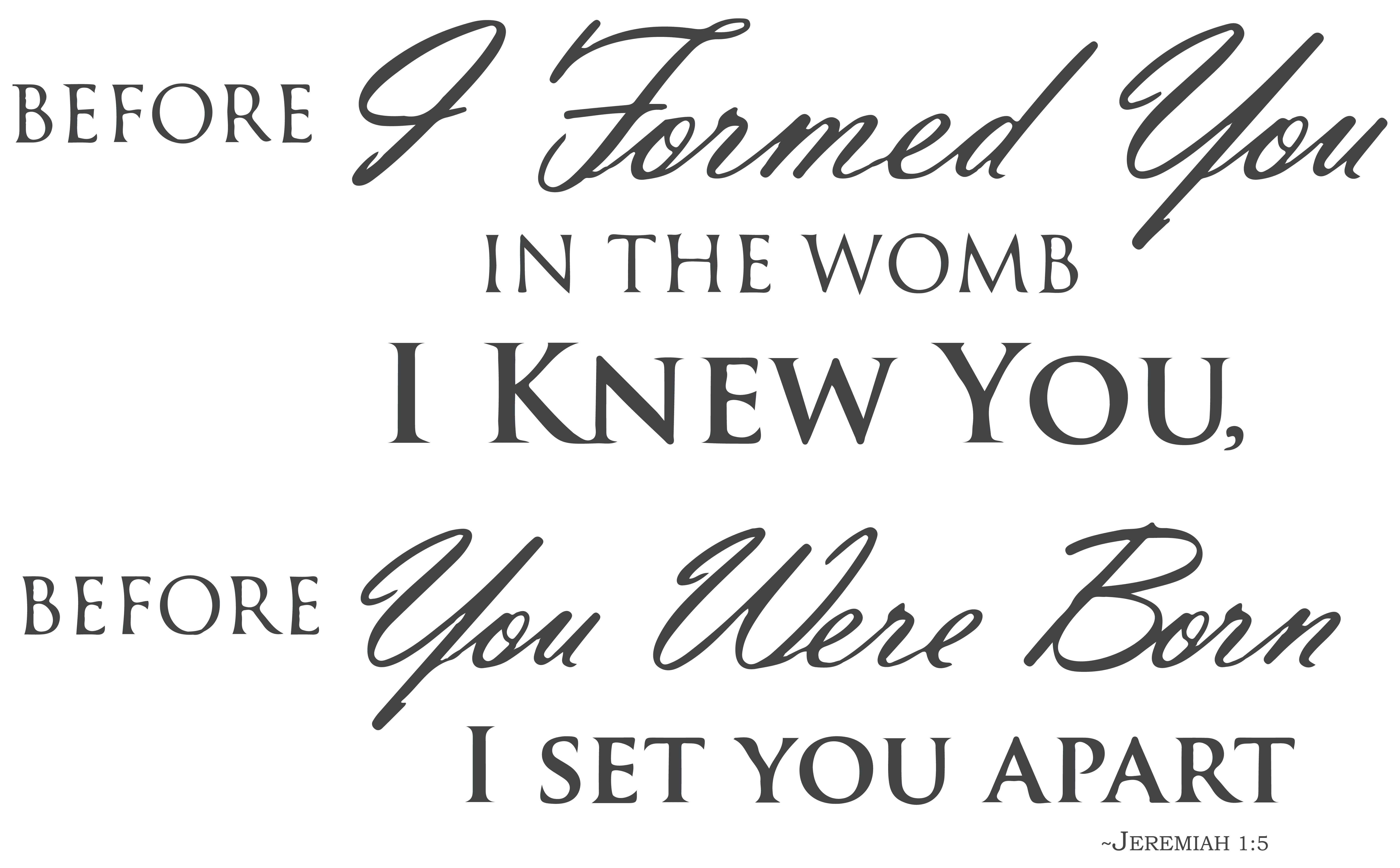 Before You Were Formed In The Womb Kjv - k9iosyu