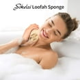 thumbnail image 5 of Visland 6 Pack Natural Organic Loofah Sponge, Premium Eco-Friendly Egyptian Shower Loofah Sponge, Body Scrubber Brush for Men/Women, 5 of 8
