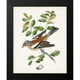 thumbnail image 2 of Unknown 12x14 Black Modern Framed Museum Art Print Titled - Antique Bird-Botanical and Egg II, 2 of 5
