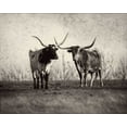 thumbnail image 2 of Van Swearingen, Debra 24x20 Black Ornate Wood Framed with Double Matting Museum Art Print Titled - Texas Longhorns, 2 of 4