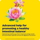 thumbnail image 5 of Enzymedica | Candidase, Extra Fuerte, 42 Cápsulas. Suplemento para mantener la flora intestinal saludable, 5 of 9