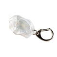 thumbnail image 1 of LRI txmw Tactical X-Light Micro Flashlight, Black, 1 of 8