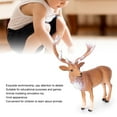 thumbnail image 1 of Modelo animal de simulación mano de obra exquisita juguete para niños seguro y no tóxico inodoro y duradero para niños ANGGREK Otros, 1 of 8