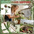 thumbnail image 2 of Metal Carnivorous Plant Garden Stake, Outdoor Yard Lawn Decoration, Spiky Venus Flytrap Garden Art, Halloween Garden Ornament, Creepy Plant Lawn Decor(64cm), 2 of 9