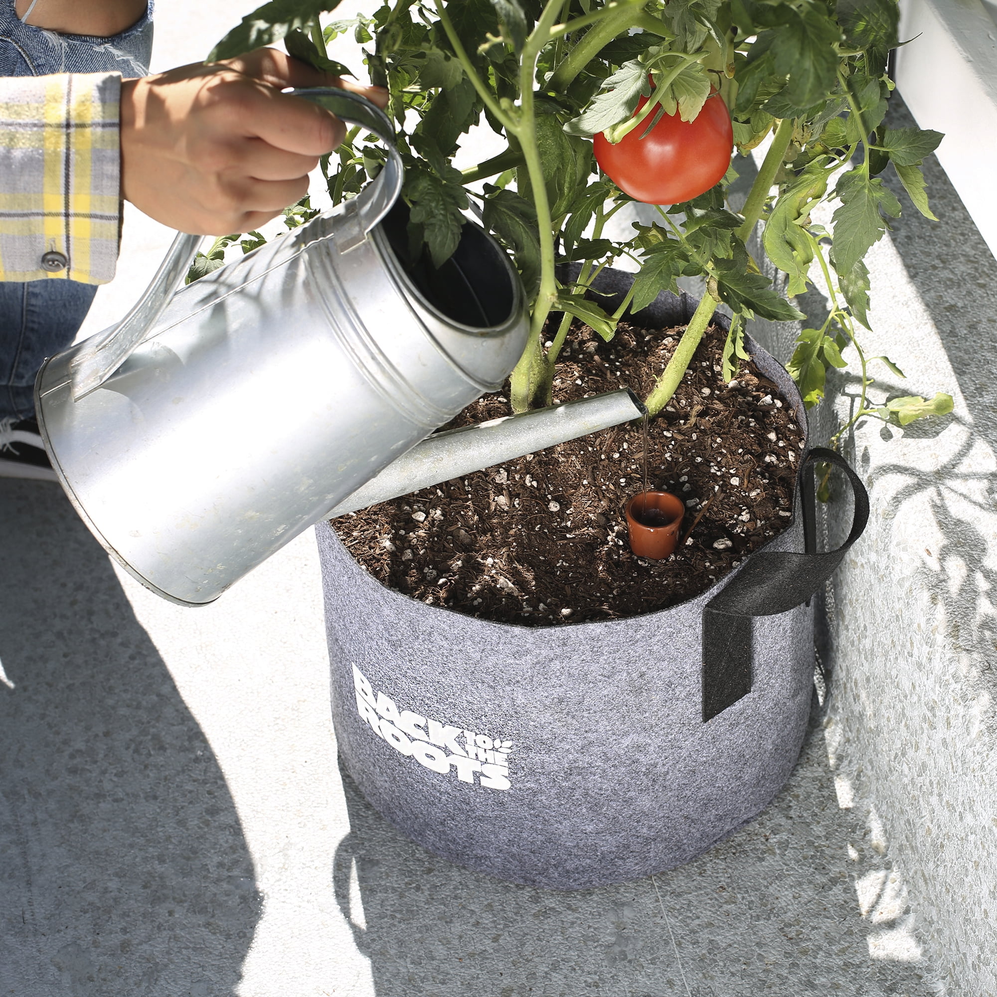 Back to the Roots Self-Watering Terracotta Olla Pot