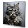 thumbnail image 2 of Designart "Majestic Maine Coon Feline II" Animals Cat Canvas Prints, 2 of 7