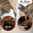 thumbnail image 7 of DR. BAILEY'S Miracle Animal Cream - 2 OZ Hot Spot Treatment for Dogs, One Stop Cream for All Topical Needs from Ear to Paw - Skin Irritation/Wound Relief Treatment for Dog Cat Horse Pig Goat & More, 7 of 7