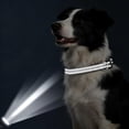 thumbnail image 3 of Minzimin Dog Collar, Reflective Dog Collar, Quick Release Soft Comfortable Dog Collars, Safety Buckle Adjustable Nylon Collars for Small Medium Large Dogs, 3 of 5