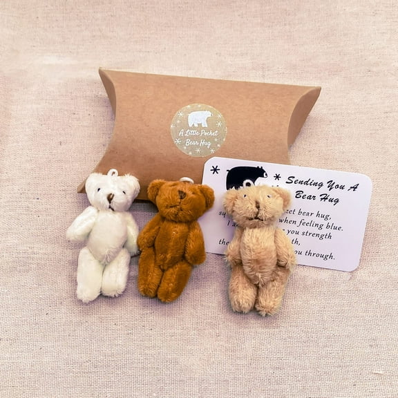 Jiaroswwei 1 Set Pocket Bear Plush Toy Solid Color Fluffy Stuffed Cartoon Relieve Stress Decorative with Card And Box Remove Sadness Graduation Bear Doll Birthday Gift