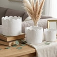 thumbnail image 4 of Set of 3 Scallop Wild Flower Ceramic Pots, 4 of 4