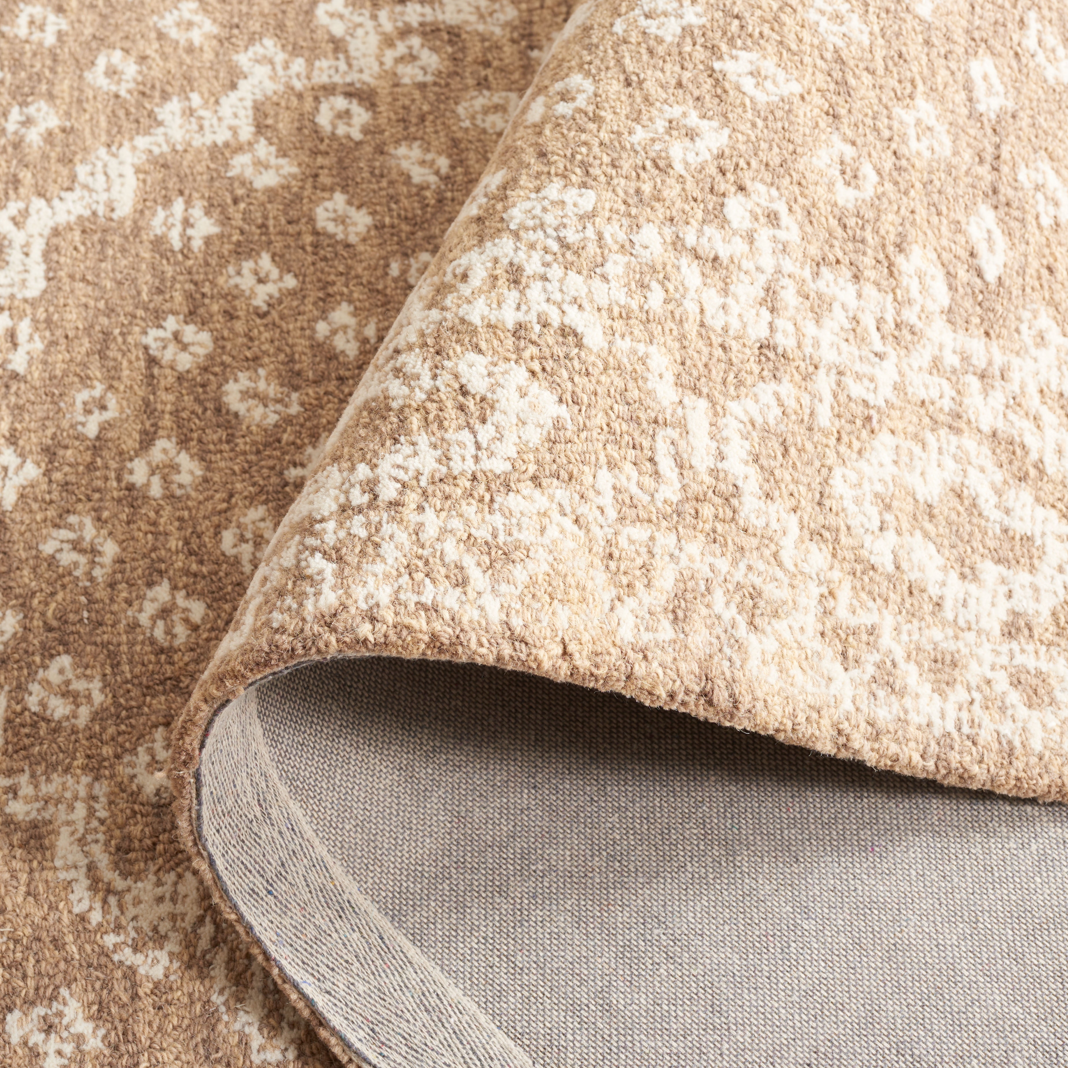 SAFAVIEH Ebony Aiden Bordered Area Rug, Ivory/Brown, 8' x 10'