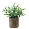 thumbnail image 1 of Fake Plant Potted Lifelike Small Artificial Greenery Plant Faux Plant Decoration, 1 of 10