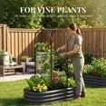 thumbnail image 3 of KING BIRD 4x2x1 ft Raised Garden Bed with Arched Trellis Galvanized Steel Metal Planter Garden Box Outdoor for Gardening Climbing Vegetables Flowers Dark Gray, 3 of 9