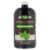 Nature's Way, Chlorofresh, Liquid Chlorophyll, Mint Flavored, 16 fl oz (473.2 ml) (Pack of 4)