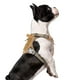 thumbnail image 1 of Arnés para perros BUMBIN Tactical Fit Smart para perros pequeños, 1 of 7