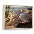 thumbnail image 2 of Designart "Beach Photo Seashell composition III" Nautical & Beach Floater Framed Wall Art Living Room, 2 of 7