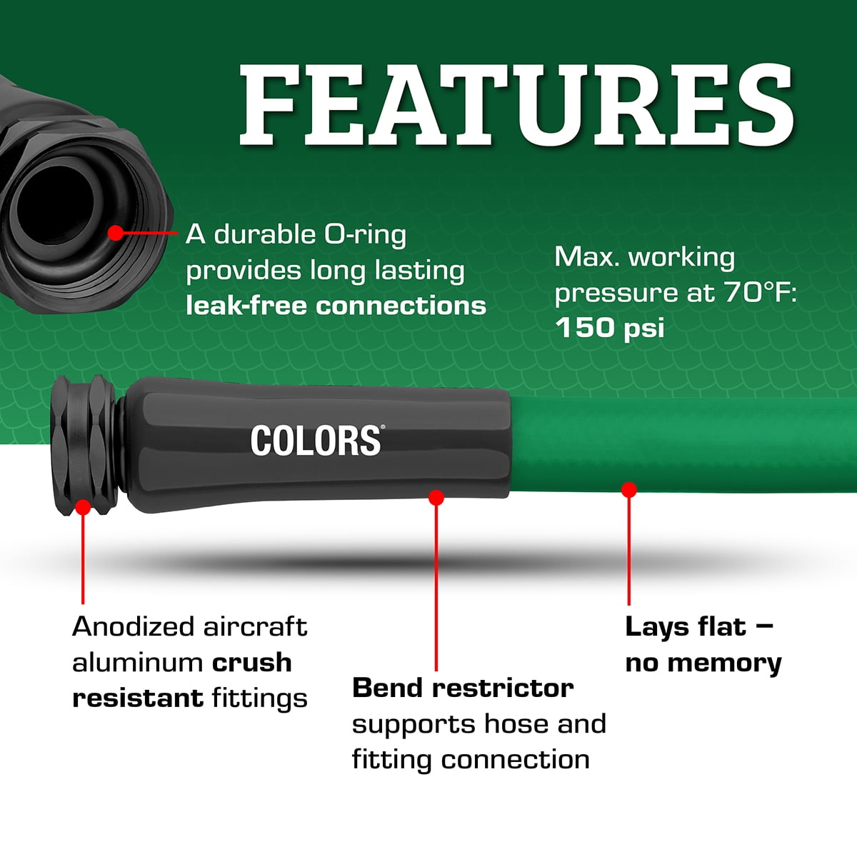 Flexzilla Colors Garden Hose 5/8 in. x 25 ft., Forest Green