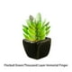 thumbnail image 5 of Decoración de planta artificial Advancent en maceta de cerámica suculenta tipo 1, 5 of 6