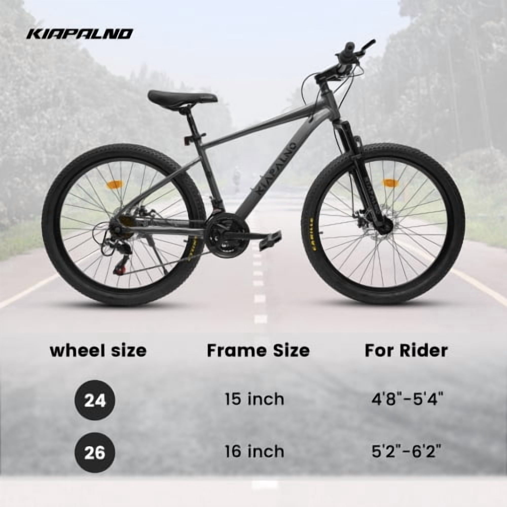 RAISTYW 24 inch Wheels Mountain Bike for Adult and Women, 21-Speed Steel Frame Bicycles with Shock Fork, Plus Shock Absorber, Black and Blue