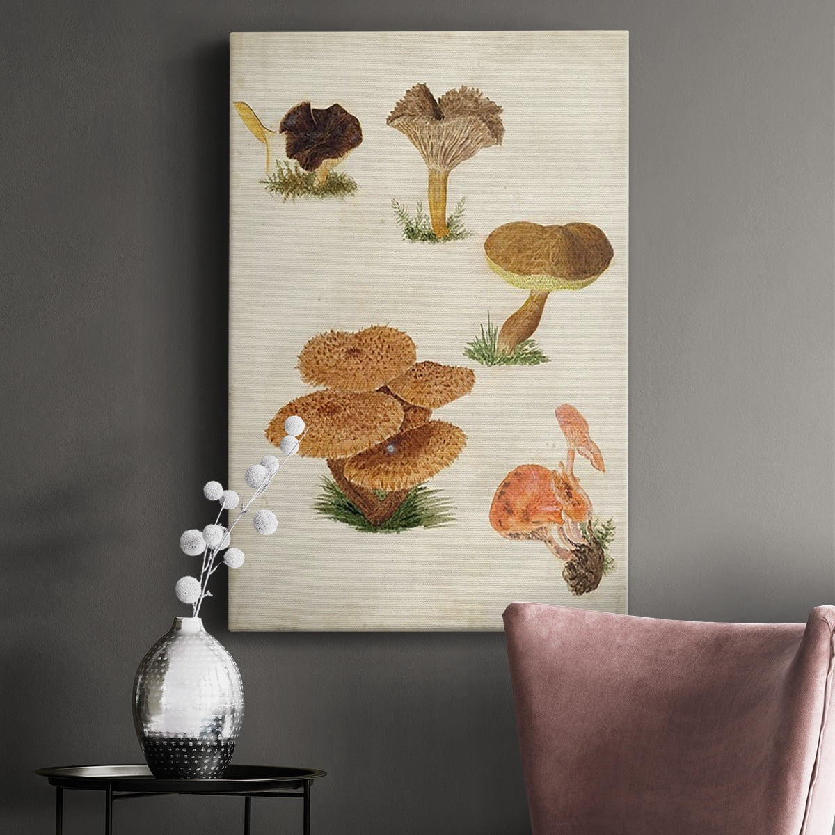 Mushroom Species V Premium Gallery Wrapped Canvas - Ready to Hang