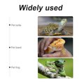 thumbnail image 2 of Shisuyan Terrarium pour Reptiles Rectangulaire 1Pcs 9.8x5.9x5.9in, 2 of 8