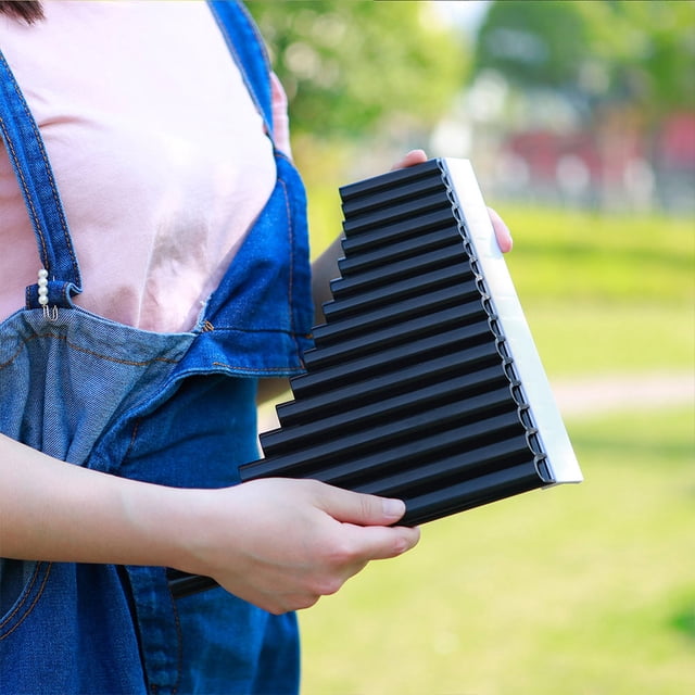 Raindrops 1 Set Black 16 Pan Flute Traditional C Key Musical Instrument for Music Education and Practice