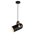 thumbnail image 1 of Lámpara Colgante Metálica Tecnolite HOME Navis 60w Negro, 1 of 4