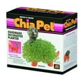 thumbnail image 5 of Dinosaur Classic Chia Pet Handmade Decorative Planter by JEI, 5 of 7