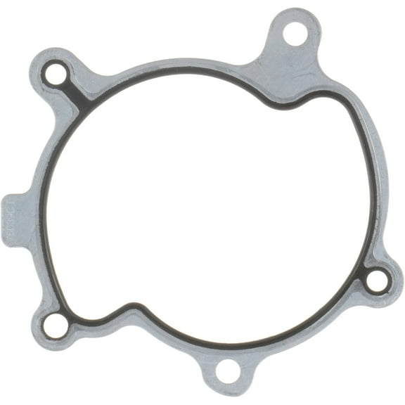 Engine Water Pump Gasket