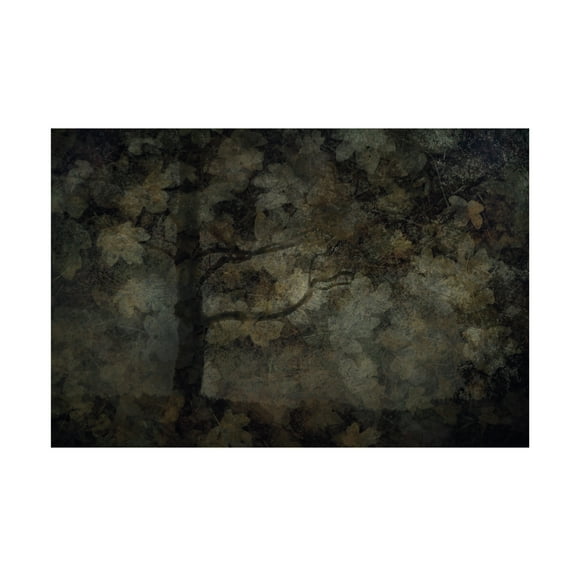 Canvas Wall Art - Jeffrey Hummel 'Dark Forest' Wall Art for Living Room, Bedroom, or Office Décor by Trademark Fine Art - 19 x 12 Inches