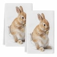 thumbnail image 2 of Funny Bunny Kitchen Towels Set of 2, Cute Art Fun Lovely Animals on Toilets Absorbent Dish Towels for Kitchen, Microfiber Hand Towel, Quick Drying Tea Towel for Cleaning Decorative Dishcloths, 2 of 7