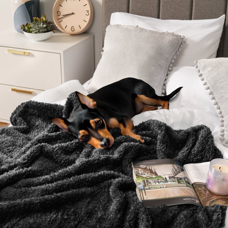 Pavilia Sherpa Throw Blanket, Black 50x60 photo 7