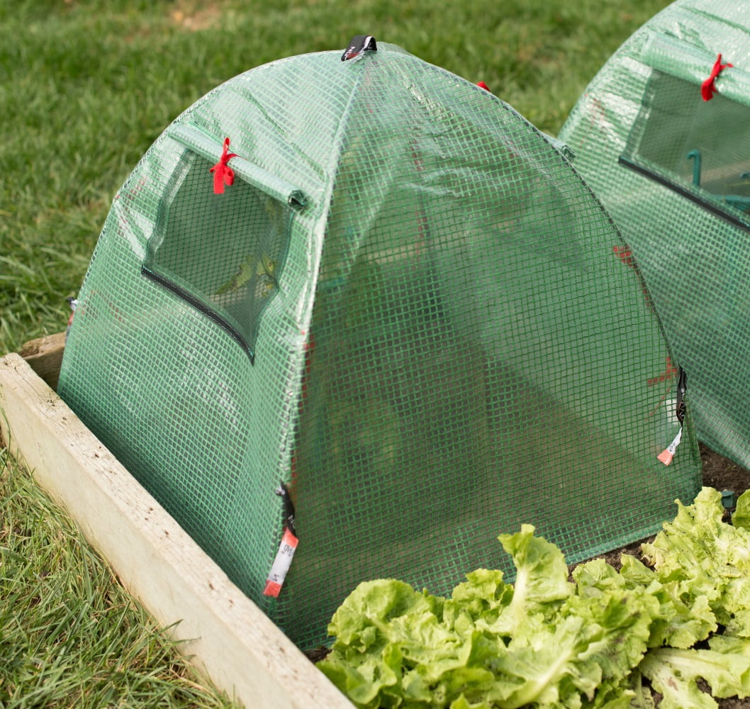 Nuvue Products 24244, Pop-Open Greenhouse & Growth Accelerator with Window:  22" L x 22" W x 22" H, 2-Pack