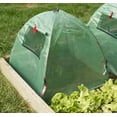 thumbnail image 4 of Nuvue Products 24245, Pop-Open Greenhouse & Growth Accelerator with Window:  28" L x 28" W x 30" H, 2-pack, 4 of 6