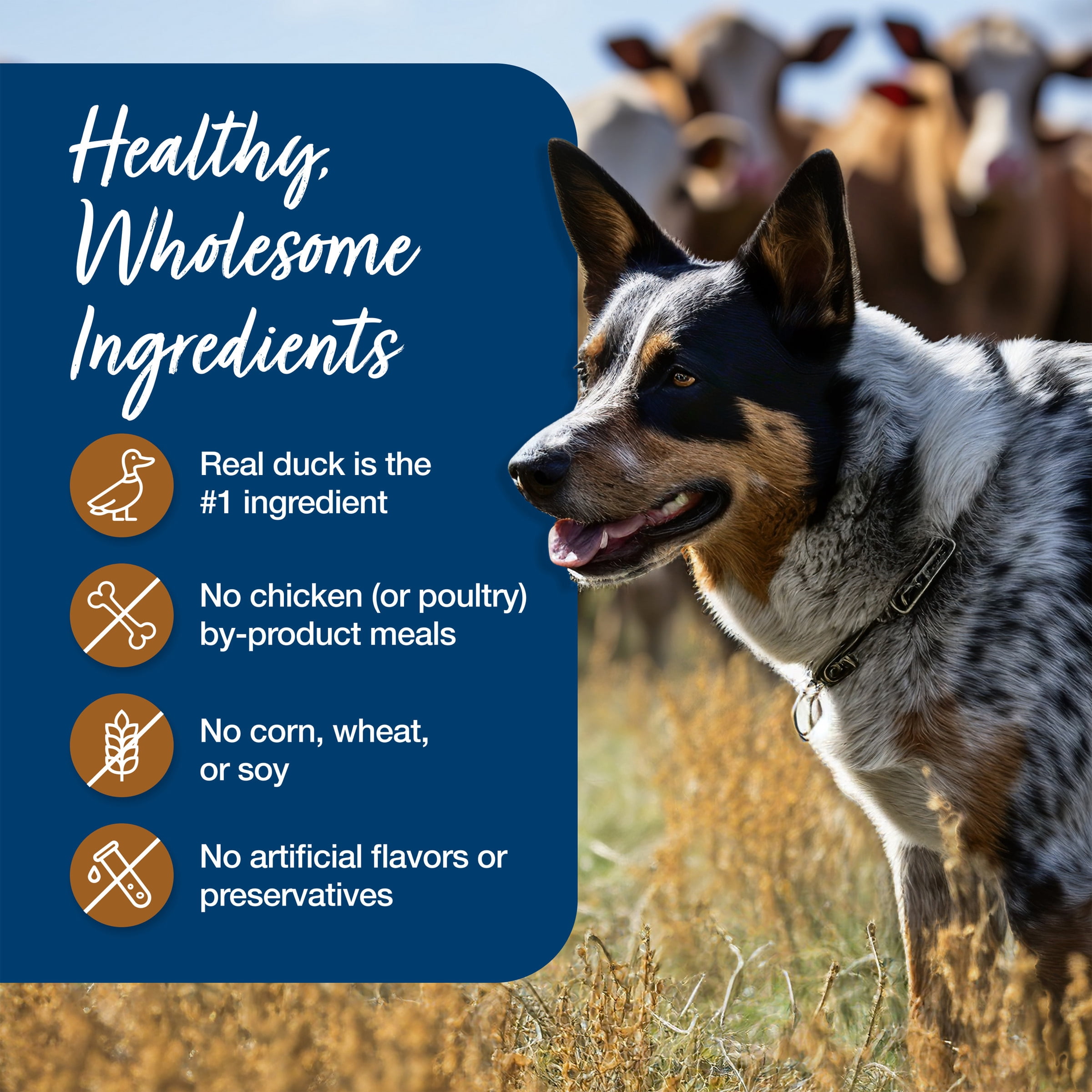 (4 pack) Blue Buffalo Blue's Stew Natural Wet Dog Food, Hunter's Stew, 12.5-oz. Cans