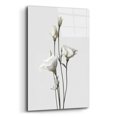 thumbnail image 2 of Epic Art 'Lisianthus White' by Design Fabrikken, Acrylic Glass Wall Art, 16"x24", 2 of 8