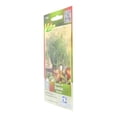 thumbnail image 2 of Pack De 3 Semillas De Eneldo Víta 0.7 G Verde, 2 of 3