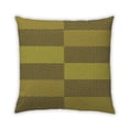 thumbnail image 1 of Ahgly Company Outdoor Square Contemporary Throw Pillow, 18 inch by 18 inch, 1 of 5