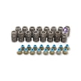 thumbnail image 3 of Kit de levas Texas Speed TSP Chopacabra con muelles y varillas LS, 3 of 6