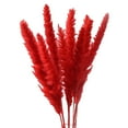 thumbnail image 1 of 15 piezas de flores secas para arreglo floral en jarrón, ramo para decoración de bodas estilo boho. Rojo, 1 of 6