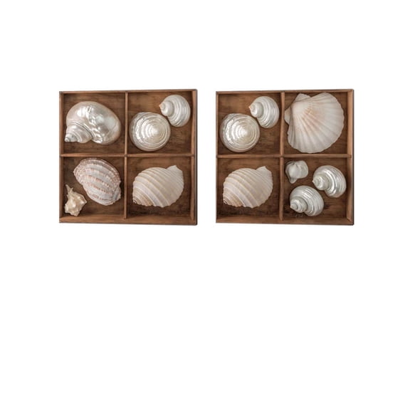Great Art Now Seashells Treasures by Assaf Frank 2 Piece Canvas Art Set Each 14W x 14H