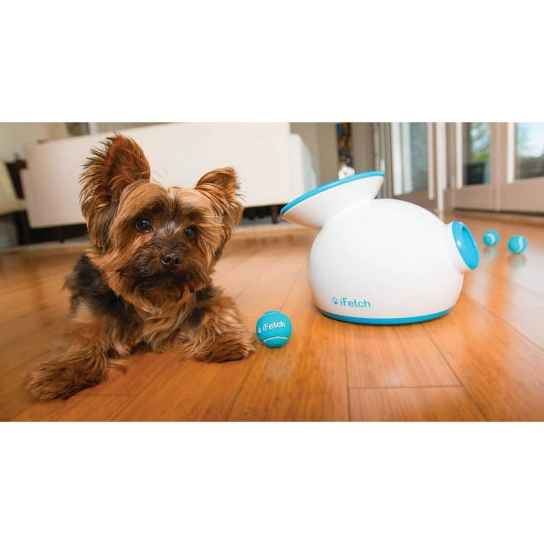 Ifetch mini automatic ball cheap launcher