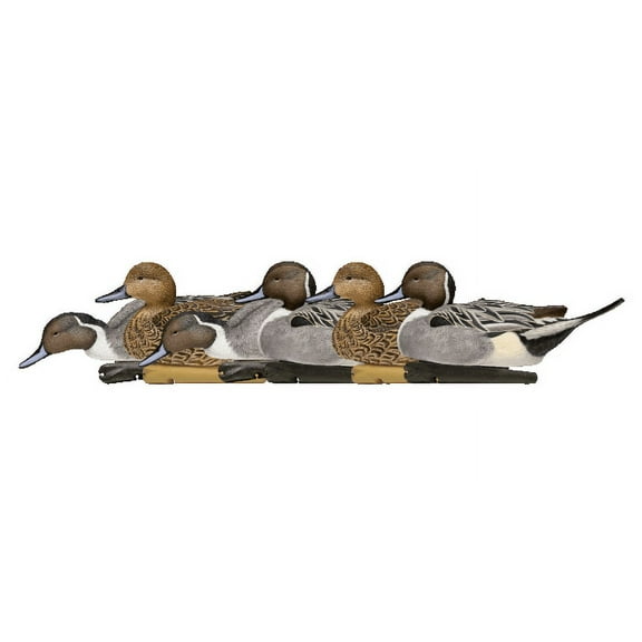 AVIAN-X Topflight Pintails Durable Ultra Realistic Floating Hunting Duck Decoys, Pack of 6, AVX8082
