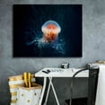thumbnail image 5 of Epic Graffiti 'Peachy Jellyfish' by Epic Portfolio, Giclee Canvas Wall Art, 34"x26", 5 of 8