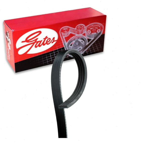 Gates AC Stretch Fit Micro-V Serpentine Belt compatible with Ford Fusion 2.0L 2.5L L4 2013-2020