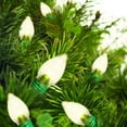 thumbnail image 2 of Indoor/Outdoor 25-Count Super Bright LED C7 Christmas Lights, Warm White, 14', Holiday Time, 2 of 6