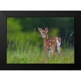thumbnail image 2 of Kalathas, Nick 14x11 Black Modern Framed Museum Art Print Titled - Spring Fawn, 2 of 5
