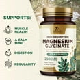 thumbnail image 3 of Magnesium (Glycinate) 250 mg - 100% Chelated & High Absorption Magnesium Supplement - Improved Formula with Mag Glycinate for Gentle Digestion - Gluten Free, Vegan, Bottled in The USA - 60 Count, 3 of 10