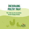 thumbnail image 4 of Manna Pro Farmhouse Favorites Chicken Treats - Triple Bug Mix  - 1 Bag - 2lb, 4 of 7